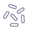 Bioburden testing